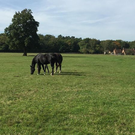 Haras Du Vignault Le Bucher Salbris Exterior foto