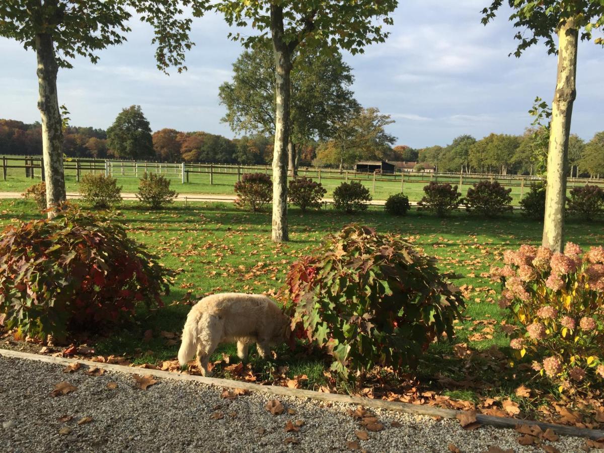Haras Du Vignault Le Bucher Salbris Exterior foto